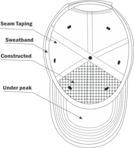 Bottom View Of The Cap In The Anatomy Of The Cap