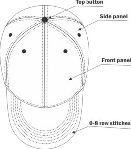 The Top View Of The Cap In Anatomy Of Cap